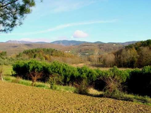 Agriturismo Campo Del Monte Campogialli 외부 사진